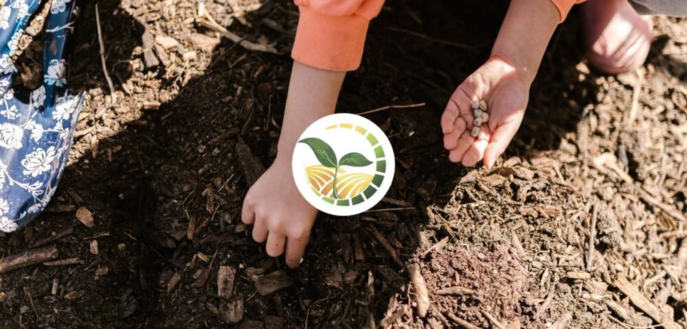 Certified Egyptian Seeds: Cultivating Success