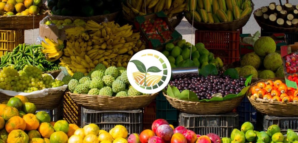 Egyptian Fruits: Nature’s Sweetest Export