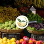 Egyptian Fruits: Nature’s Sweetest Export