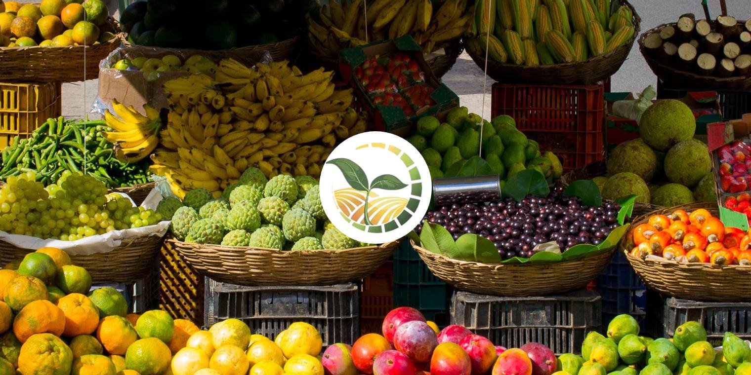 Egyptian Fruits: Nature’s Sweetest Export
