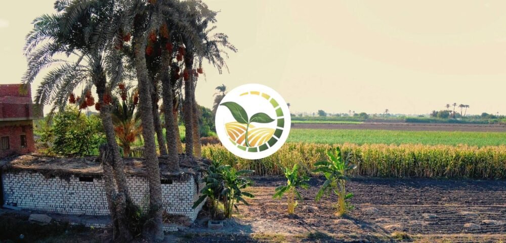 Egypt’s Agriculture Miracle You Don’t Know About